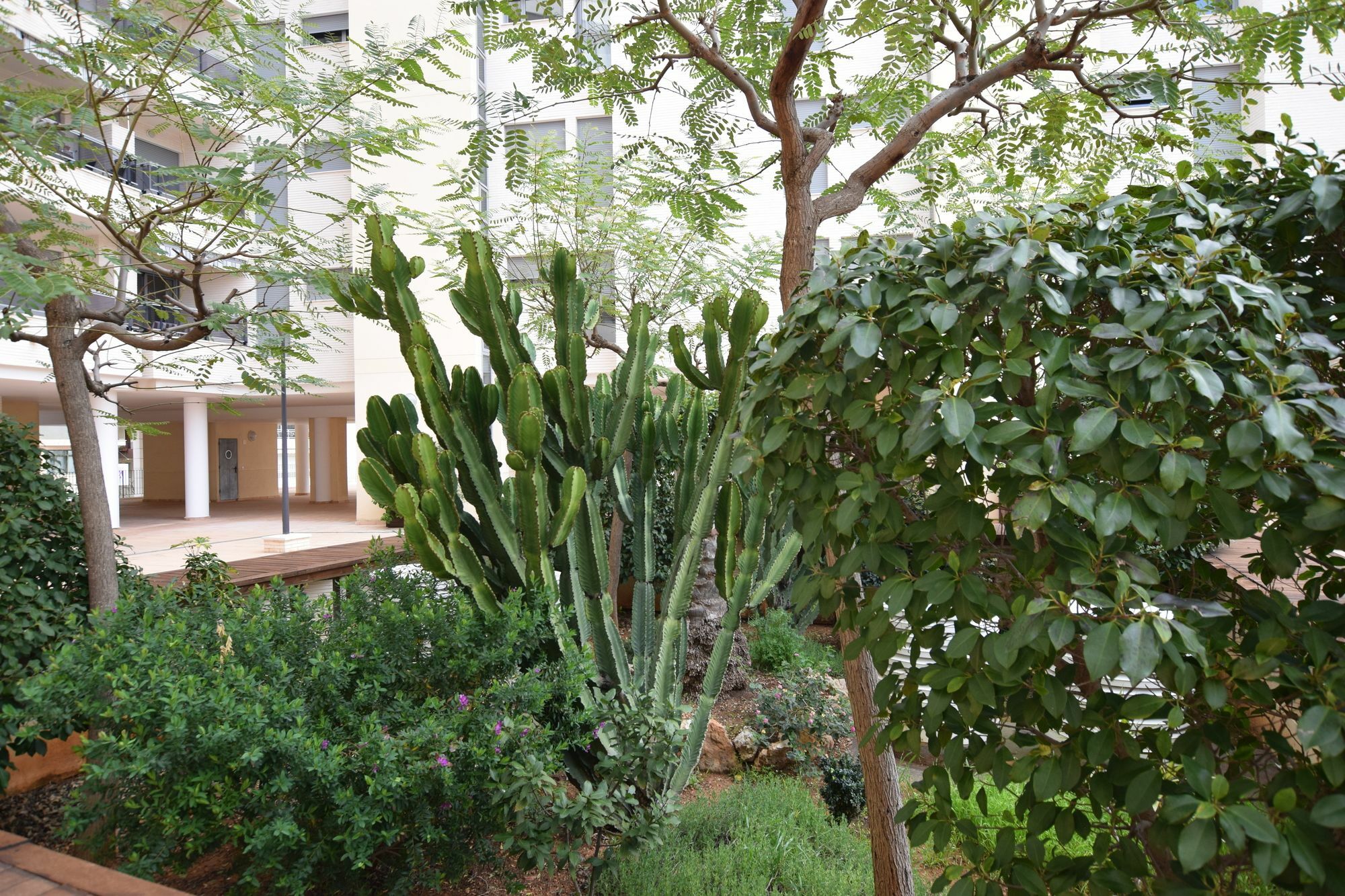 Plaza Mayor 2 Bedroom Apartment Calpe Exteriér fotografie